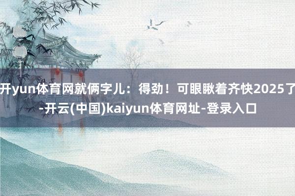 开yun体育网就俩字儿：得劲！可眼瞅着齐快2025了-开云(